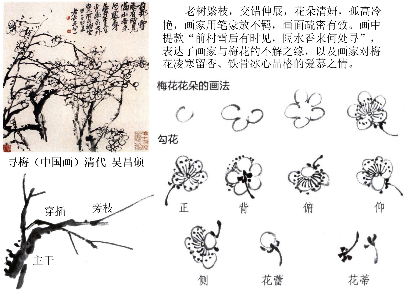 2019上半年上海教师资格证初中面试真题:中国画的梅花